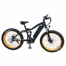 350W Middle Motor Electric Mountain Bicycle with Fat Tire